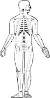 BONE081.WMF