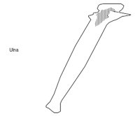BONE069.WMF