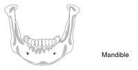 BONE061.WMF