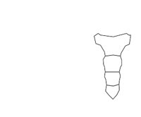 BONE058.WMF