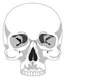 BONE044.WMF