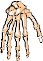 BONE019.WMF