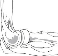 BONE016.WMF