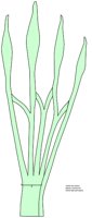 ANATM112.WMF