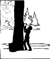 CC001706.WMF