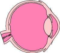 CS002215.WMF