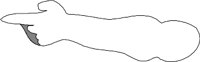 HANDP013.WMF