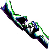 HAND246.WMF