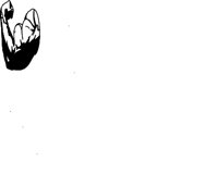 CAA0888.WMF