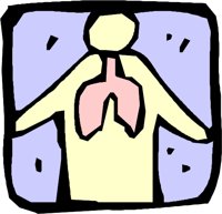 NA1252.WMF