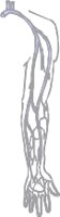 CS002275.WMF