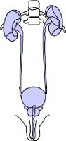 CS002274.WMF