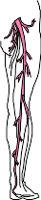 CS002253.WMF