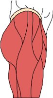 CS002238.WMF