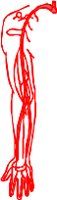 CS002162.WMF