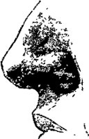 CC003691.WMF