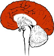 BRAIN.WMF