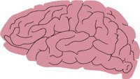 ANATM306.WMF