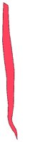ANATM175.WMF