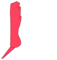 ANATM143.WMF