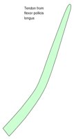 ANATM119.WMF