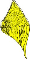 RE000540.WMF