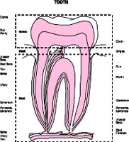 CS002160.WMF