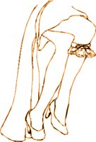 WE000081.WMF