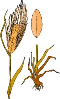 MA01037B.WMF