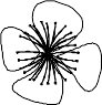 FLWRN020.WMF