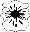 FLWRN011.WMF