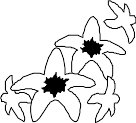 FLWRN010.WMF