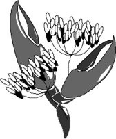FLWRN007.WMF