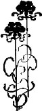 FLWRN005.WMF