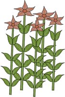 FLOWERS4.WMF