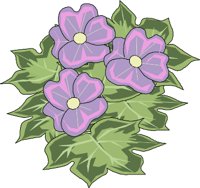 FLOWERS3.WMF