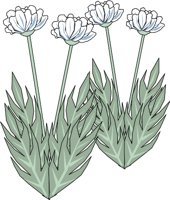 FLOWERS1.WMF
