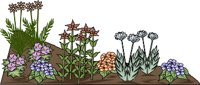 FLOWERBD.WMF