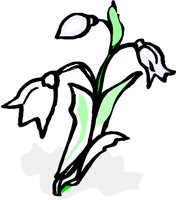 FLOWER5.WMF