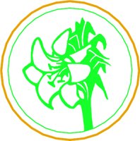 FLOWER36.WMF