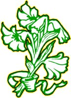 FLOWER3.WMF