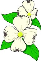 DOGWOOD.WMF