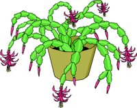 CRCACTUS.WMF
