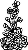 CC004272.WMF