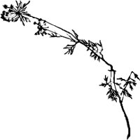CC004023.WMF