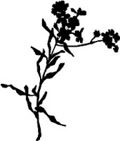 CC004022.WMF