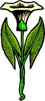 CC004010.WMF