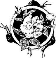 CC003982.WMF