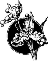 CC003980.WMF