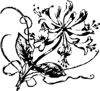 CC003975.WMF